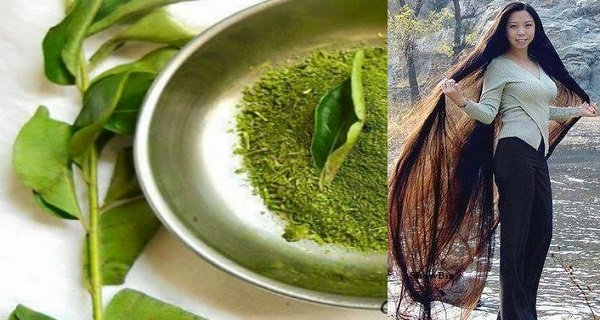 One herb that may present you with long potent hair in just a month